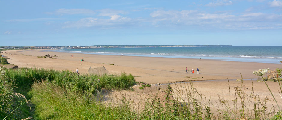 Auburn Farm @ Fraisthorpe Beach